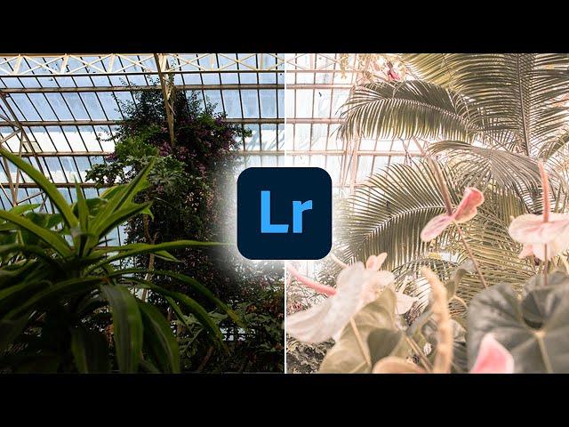 Pink Lightroom Preset Tutorial | Lightroom Preset White Pink Filter