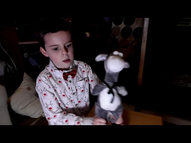 Timmy's Christmas Day Favourite Singing Toys by Harvey Twyman