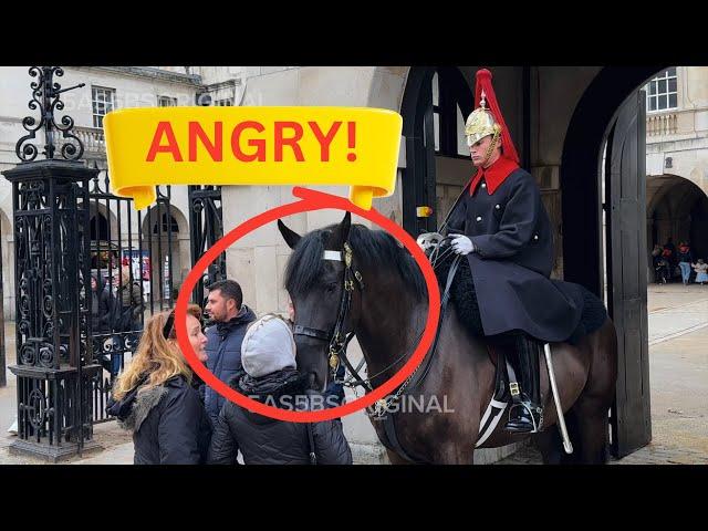 Karen Kept Annoying The King’s Guard And The Horse