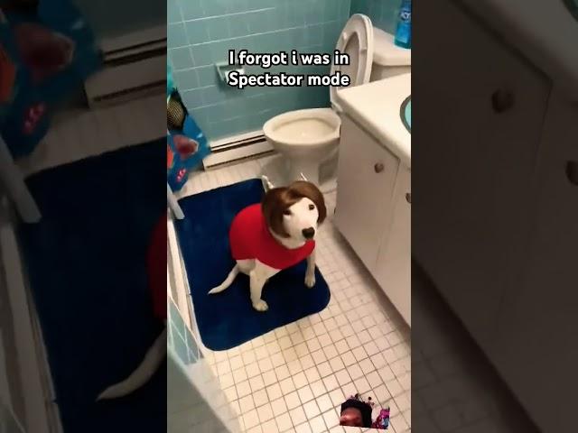 #funny #memes #dog #puppy #pets #fypシ #shorts