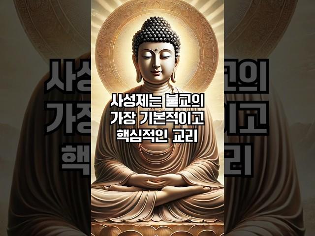 사성제란 무엇인가요? #불교용어 #불교교리 #사성제