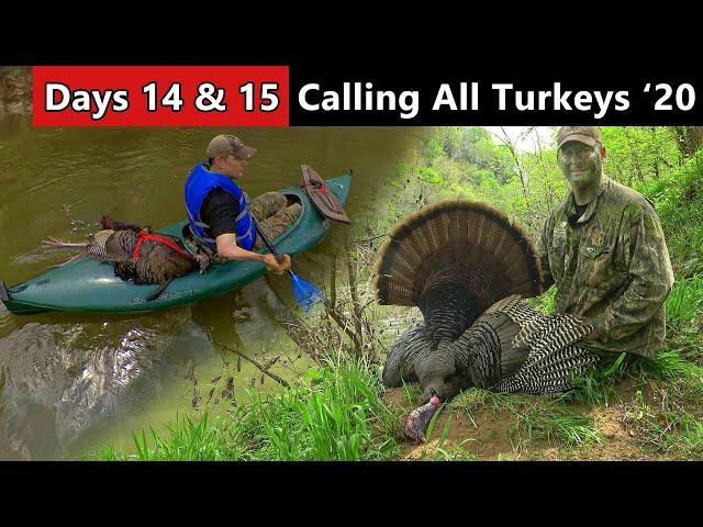 I OVERSLEPT!!! Late Morning Luck! - Tennessee Public Land Turkey Hunting