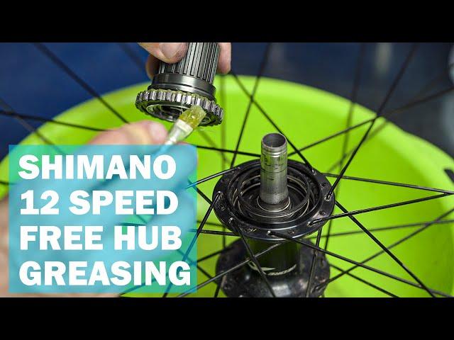 How to grease a CREAKING Shimano 12 speed Micro Spline free hub (SLX, XT, XTR)