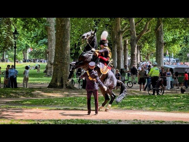 THE MOMENT SHE FACED 1,600 POUNDS OF POWER…