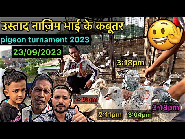 pigeon tournament 2023 || kabootar ki udaan 2023 || latest pigeon tournament || kabootar ki bazi