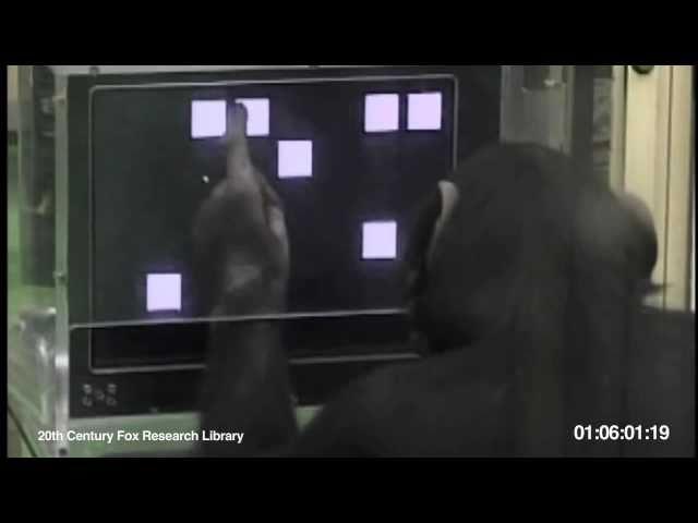 Chimp Beats Human: Intelligence Test