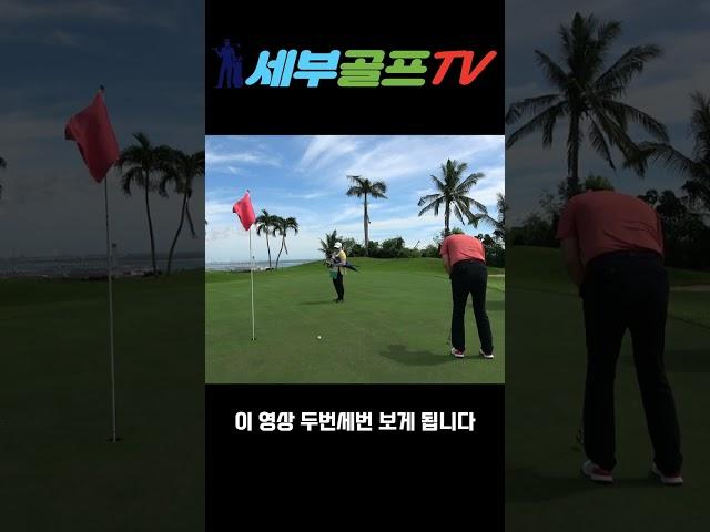 퍼터 기다리세요!!#shorts#세부골프TV