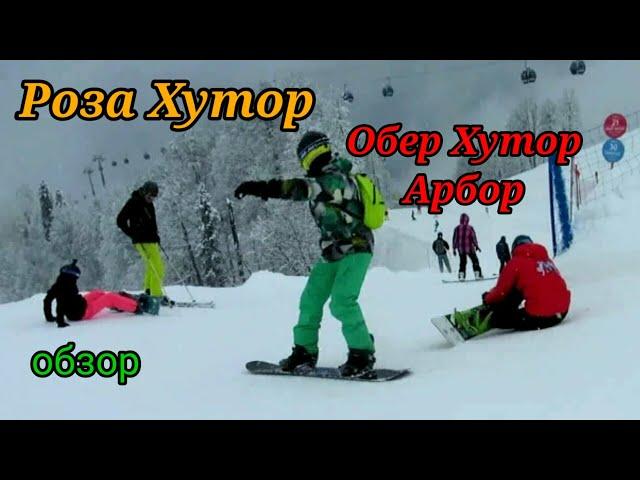 Роза Хутор, обзор красных Обер Хутор и Арбор.