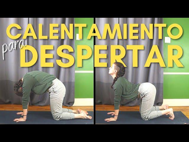 CALENTAMIENTO RELAJANTE PARA DESPERTAR EL CUERPO | Calentamiento para Todo el Cuerpo para Bailarines
