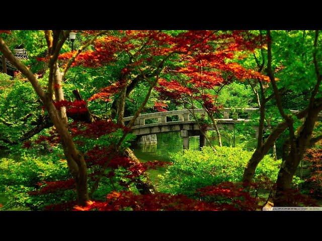 ALAN WATTS CHILLSTEP 7   TERRESTRIAL EXITIUM ALAN WATTS