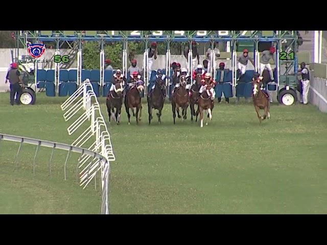 The Raoul Halbwachs Cup | Var's Elusion | T.Juglall