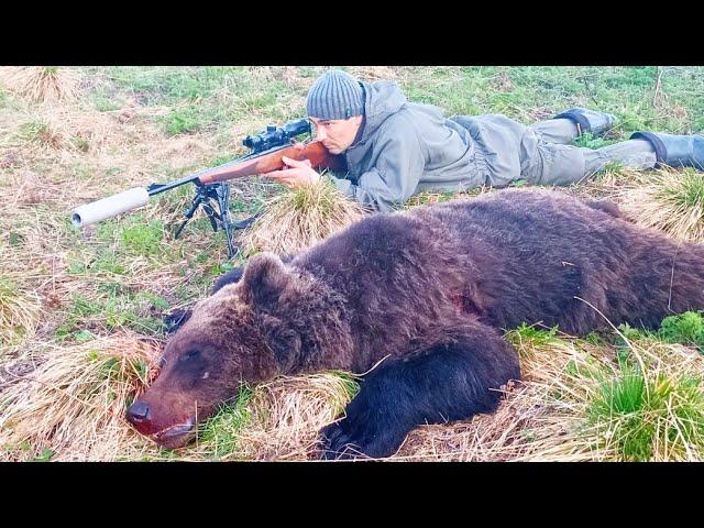 ОХОТА НА МЕДВЕДЯ  В ОДИНОЧКУ / 140 МЕТРОВ С ПЕРВОЙ ПУЛИ СЛЁГ КОСОЛАПЫЙ / УСПЕЛ ВОВРЕМЯ.
