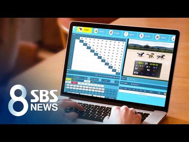 가정집 파고든 온라인 불법 경마…"1년 배팅액 13조" / SBS