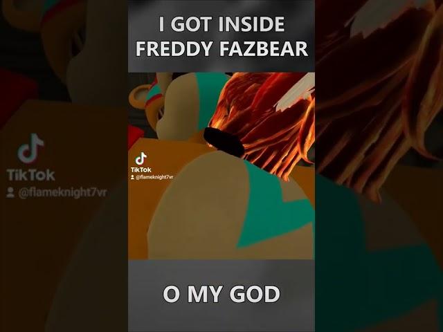 I Got Inside Freddy Fazbear