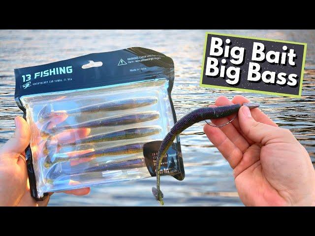 Does BIG BAIT = BIG BASS? (Ninja Worm)