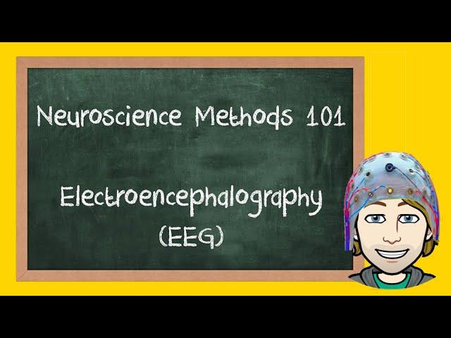 Electroencephalography (EEG) Explained | Neuroscience Methods 101