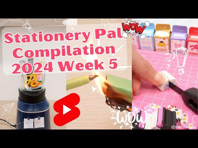 Stationery Pal Compilation | Stationery Pal