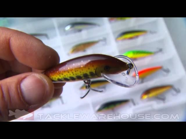 Rapala Scatter Countdown