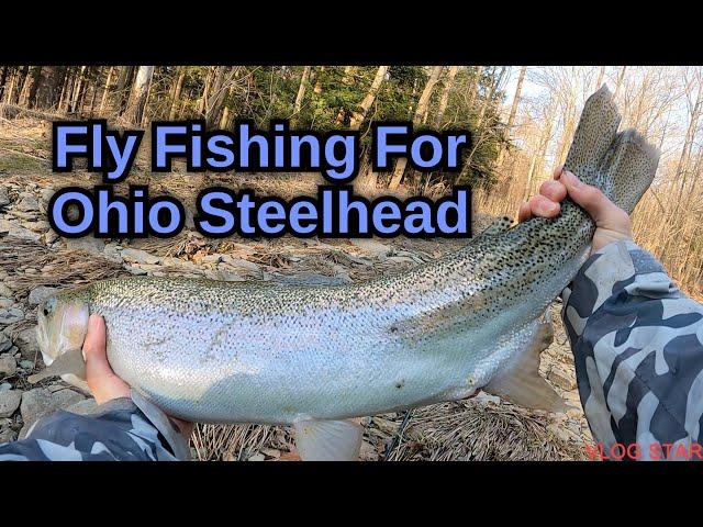 Fly fishing for Ohio steelhead (day 2) 2023