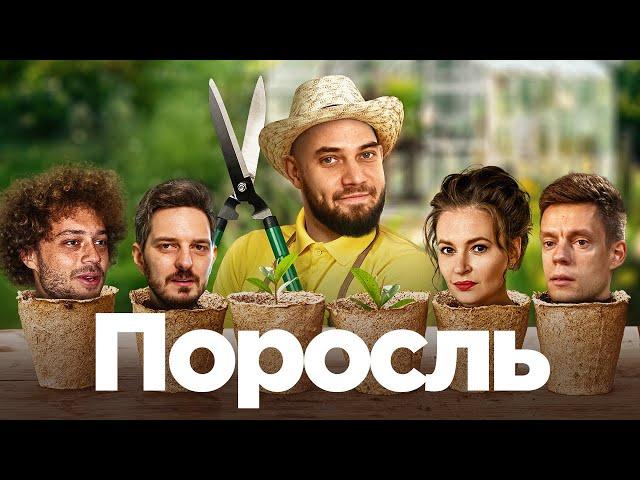 Кто выращивает оппозиционных блогеров?