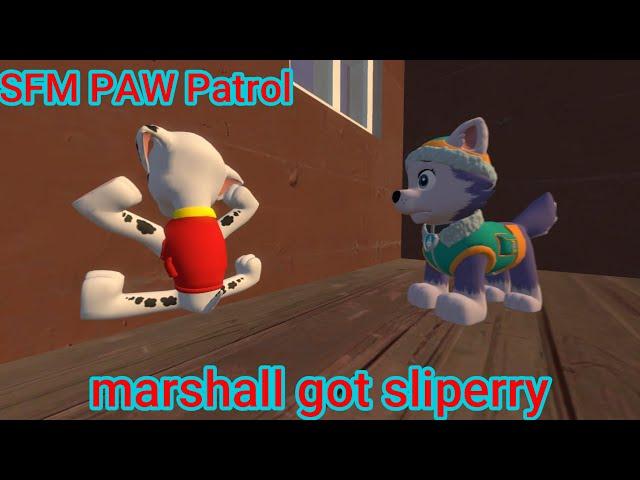 SFM PAW Patrol | Marshall got slipped (Evershall moment)