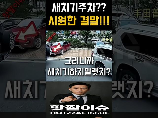 "새치기했다가 X됐다. 진짜 시원함 주의"  #이슈 #사이다썰 #핫이슈 #실시간뉴스