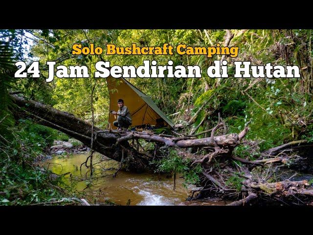 Solo Bushcraft Camping - 24 Jam Sendirian di Hutan