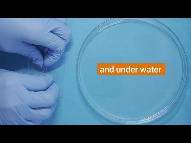 NUS researchers create water-resistant electronic skin with self-healing abilities