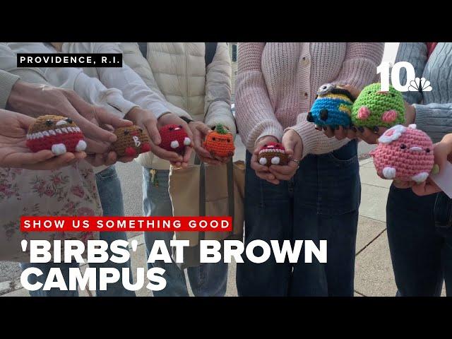 Brown University students are all-in on crochet 'birbs' popping up all over campus