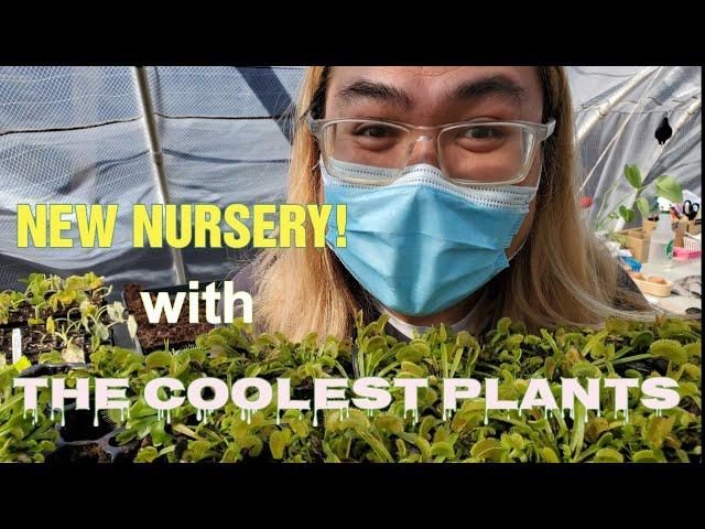 Shopping for Houseplants | NEW OC NURSERY!