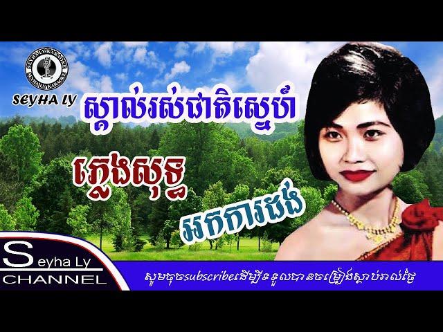 ស្គាល់រស់ជាតិស្នេហ៍ ភ្លេងសុទ្ធ អកការដង់ ​Cover Version [Seyha Ly Karaoke]