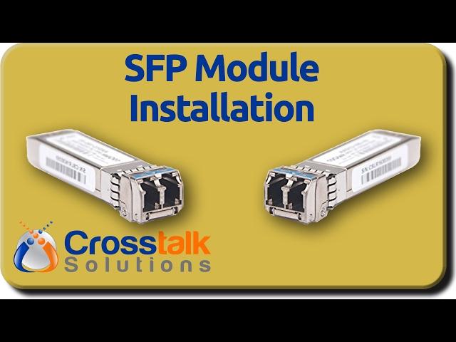 SFP Module Installation