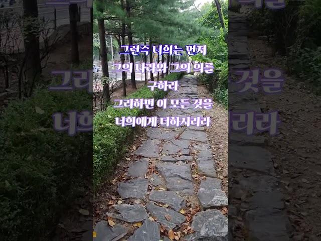 마태복음6장33-34절_영혼의양식_매일1분말씀묵상_산책