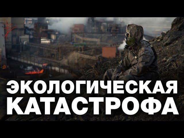 Глобальная экологическая катастрофа. Как решить экологические проблемы планеты. Виталий Сундаков