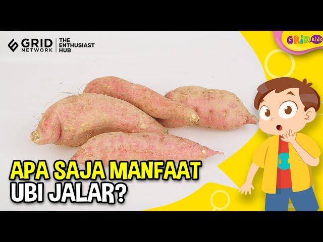 Top 6 Manfaat Ubi Jalar Bagi Kesehatan, Salah Satunya Menjaga Kesehatan Pencernaan