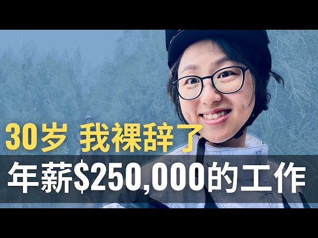 30岁 裸辞$250,000年薪的工作 WHY？| I QUIT MY $250,000 JOB after a trip to Africa and learning THIS