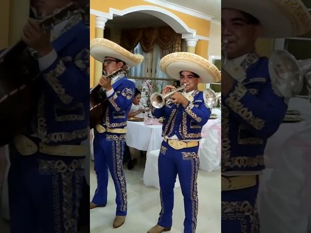 Cielito lindo - Mariachi Soberano