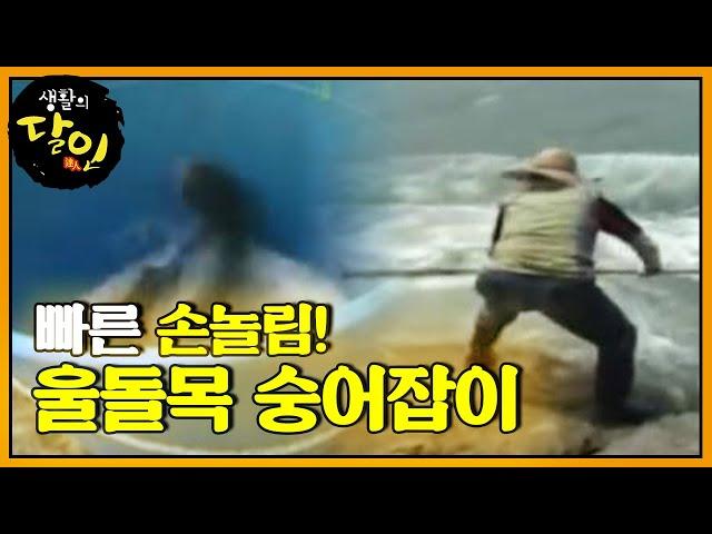 Master of mullet fishing in Ildomok@This is happening in the world of capturing the moment 20120528
