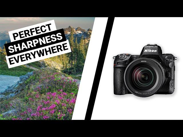 Master Focus Stacking for Landscape Photography: Sharp Shots Every Time