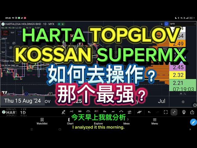 HARTA TOPGLOV KOSSAN SUPERMX 如何去操作？那个最强？[ENG SUB]