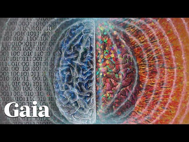 What Knowledge Lies within the Akashic Records?