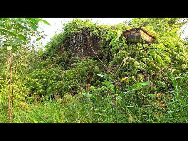 Shock - Reviving the House That Was Buried 70 Years Ago