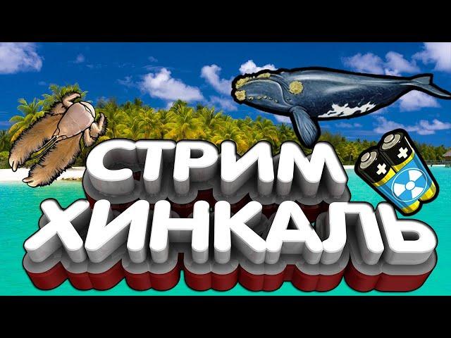 Стрим РР3 Ловля Кита, Офф тур Фестиваль лосося и Камчатские Киты