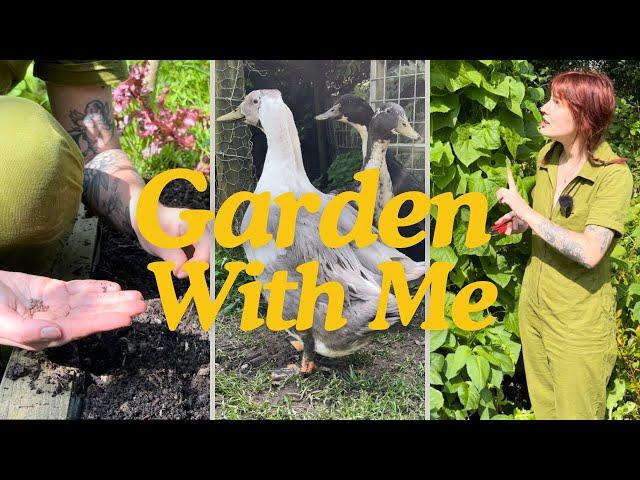 Gardening Vlog - Garden with Me in September!