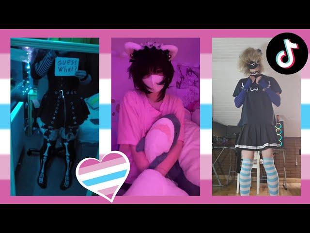 Femboy TikToks Compilation #74