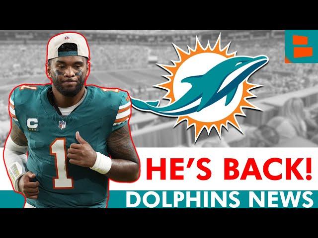 Dolphins FINALLY Receive The News They’ve Been Waiting For…