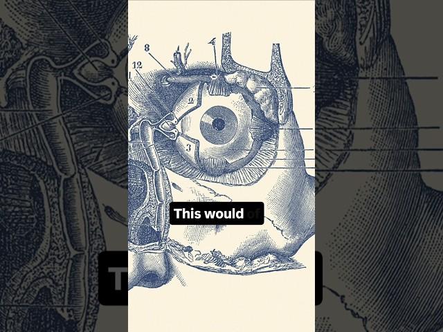 The Worst Eye Doctor in History #shorts #shortsvideo #facts #history #trivia #interesting