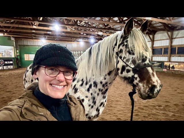 Meet The Horses - Part 11, Nocona