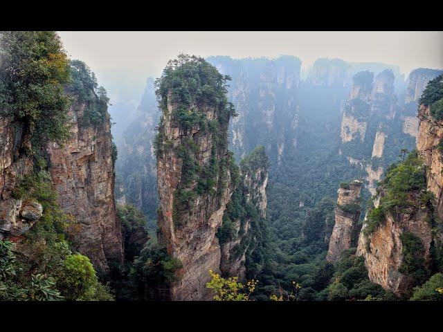 Zhangjiajie National Forest Park, China : Amazing Planet