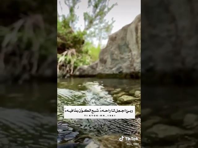 صوت ترتاح له النفوس ..